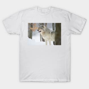 Gray Wolf T-Shirt